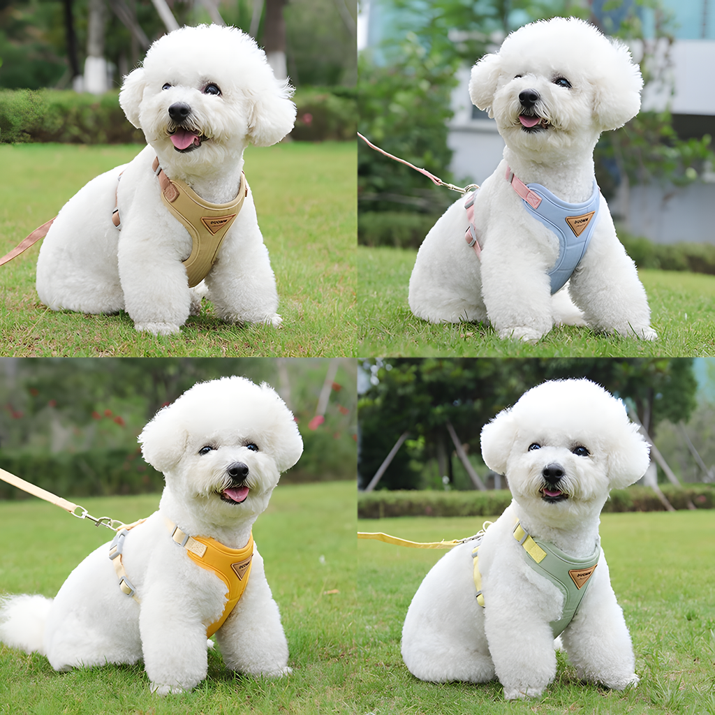 Adjustable Cat Vest Harness | Anti Escape Cat Harness