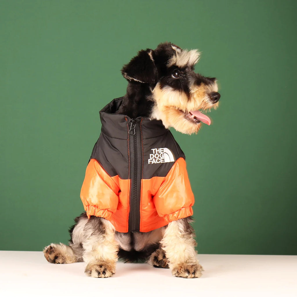Dog face | Windproof Dog Jacket The Dog Face