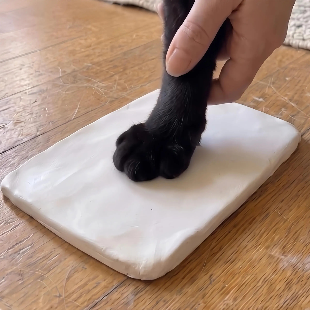 Pet Paw or Nose Print Frame