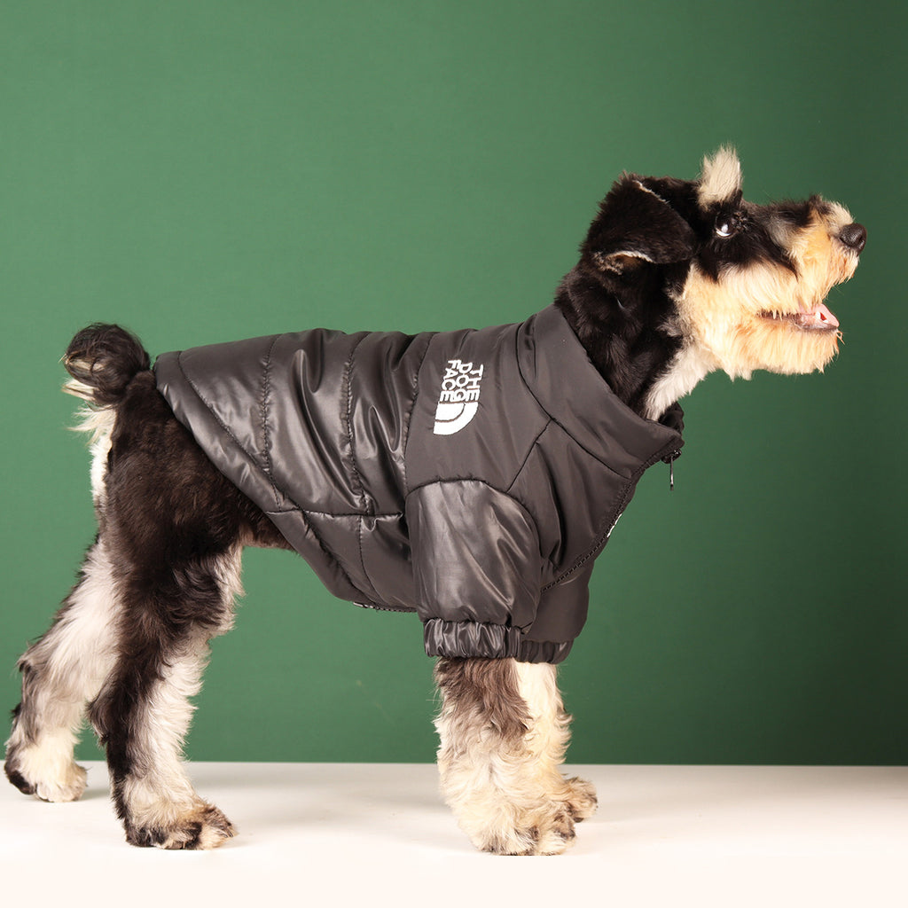 Dog face | Windproof Dog Jacket The Dog Face