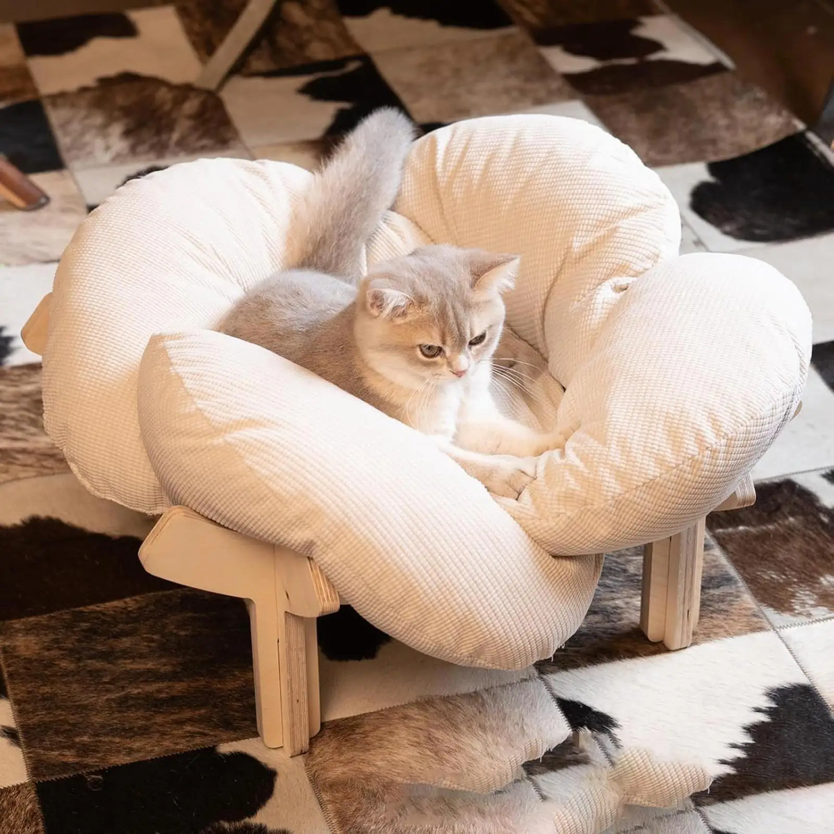 heated cat bed | cat/sofa