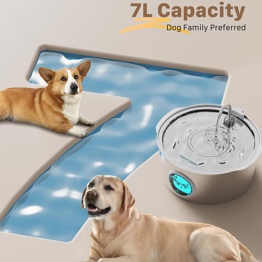 water fountain for dogs  | 7L Stainless Steel Dog Water Fountain