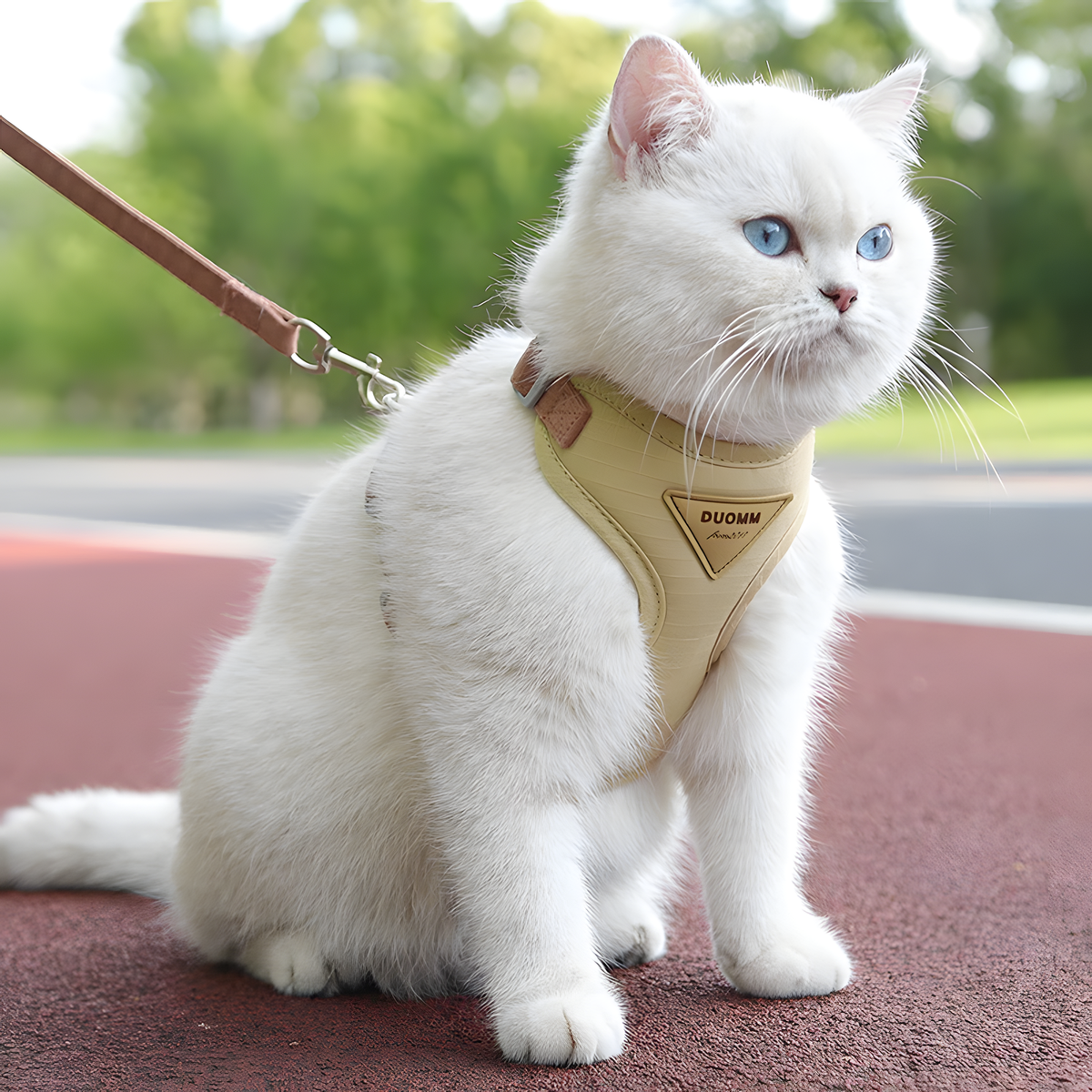 Adjustable Cat Vest Harness | Anti Escape Cat Harness