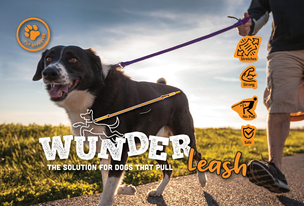 Dog on a leash with 'Wunder Leash' branding in an outdoor setting