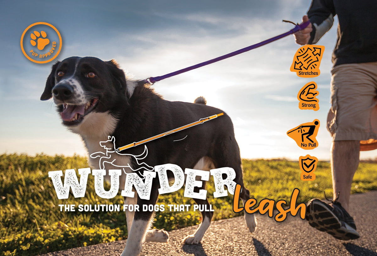 Dog on a leash with 'Wunder Leash' branding in an outdoor setting