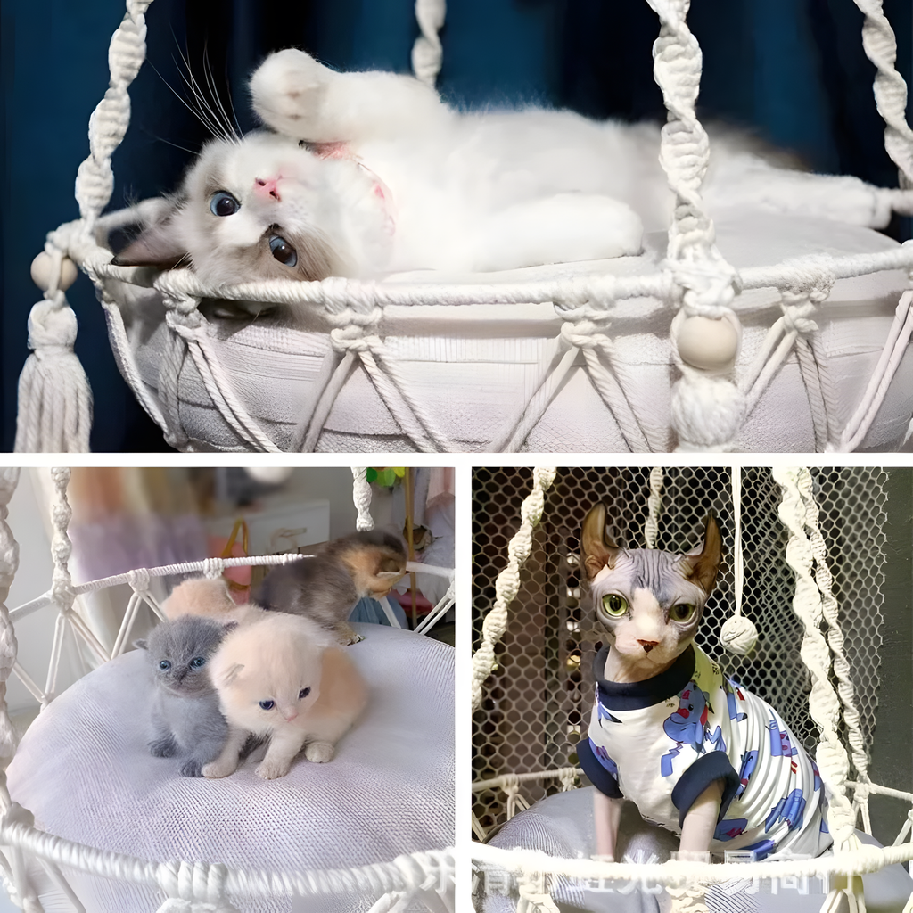 hammock for a cat| cat hammocks