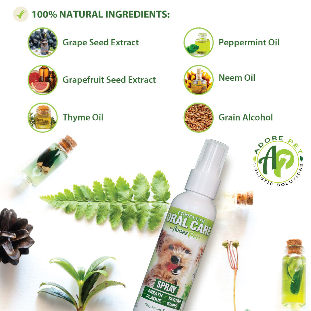 Dog Teeth Cleaning Spray | Oral Care Spray for Dogs