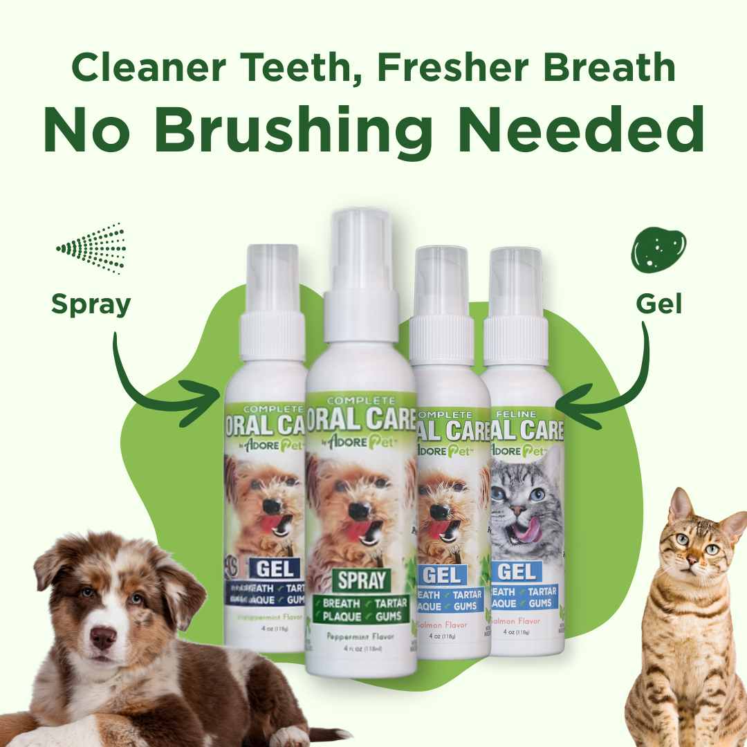 Dog Teeth Cleaning Spray | Oral Care Spray for Dogs