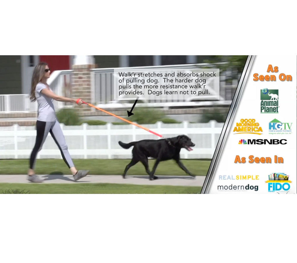 Woman walking a black dog on a leash with text about the product's benefits.