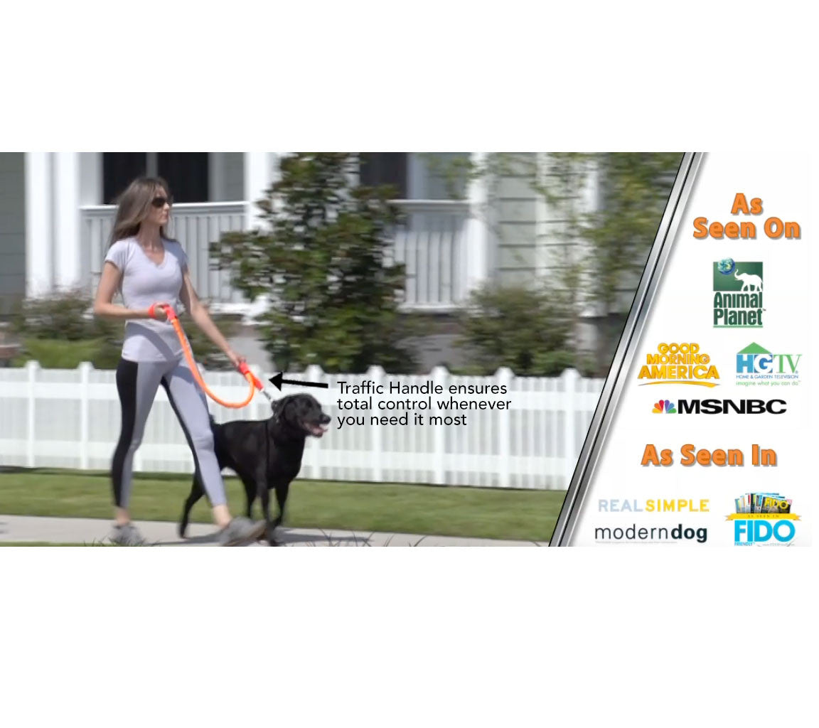 Woman walking a dog on a leash with text about traffic control, and logos of various media outlets.