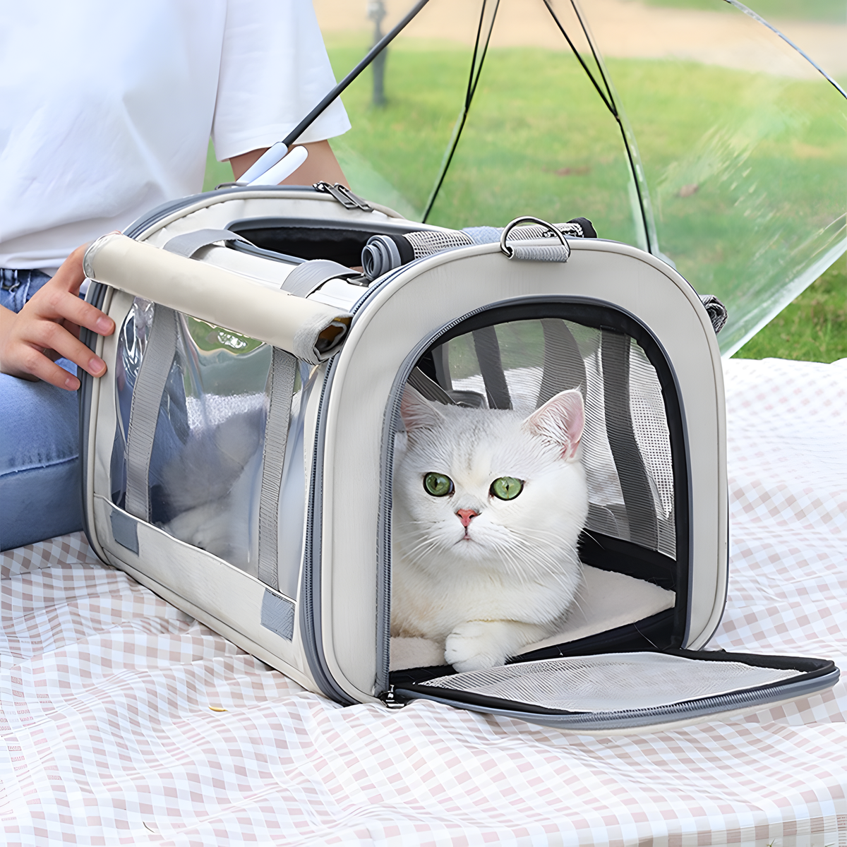 A white cat sits inside a clear and gray pet carrier bag placed on a checkered picnic blanket outdoors, with a person holding the bag and grass visible in the background.