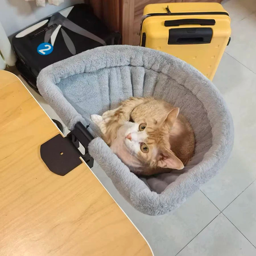 Cat in a gray pet bed on a wooden surface with suitcases in the background