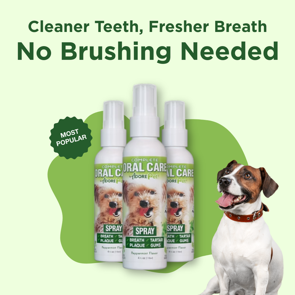 Dog oral care spray bottles with a dog sitting next to them on a green background