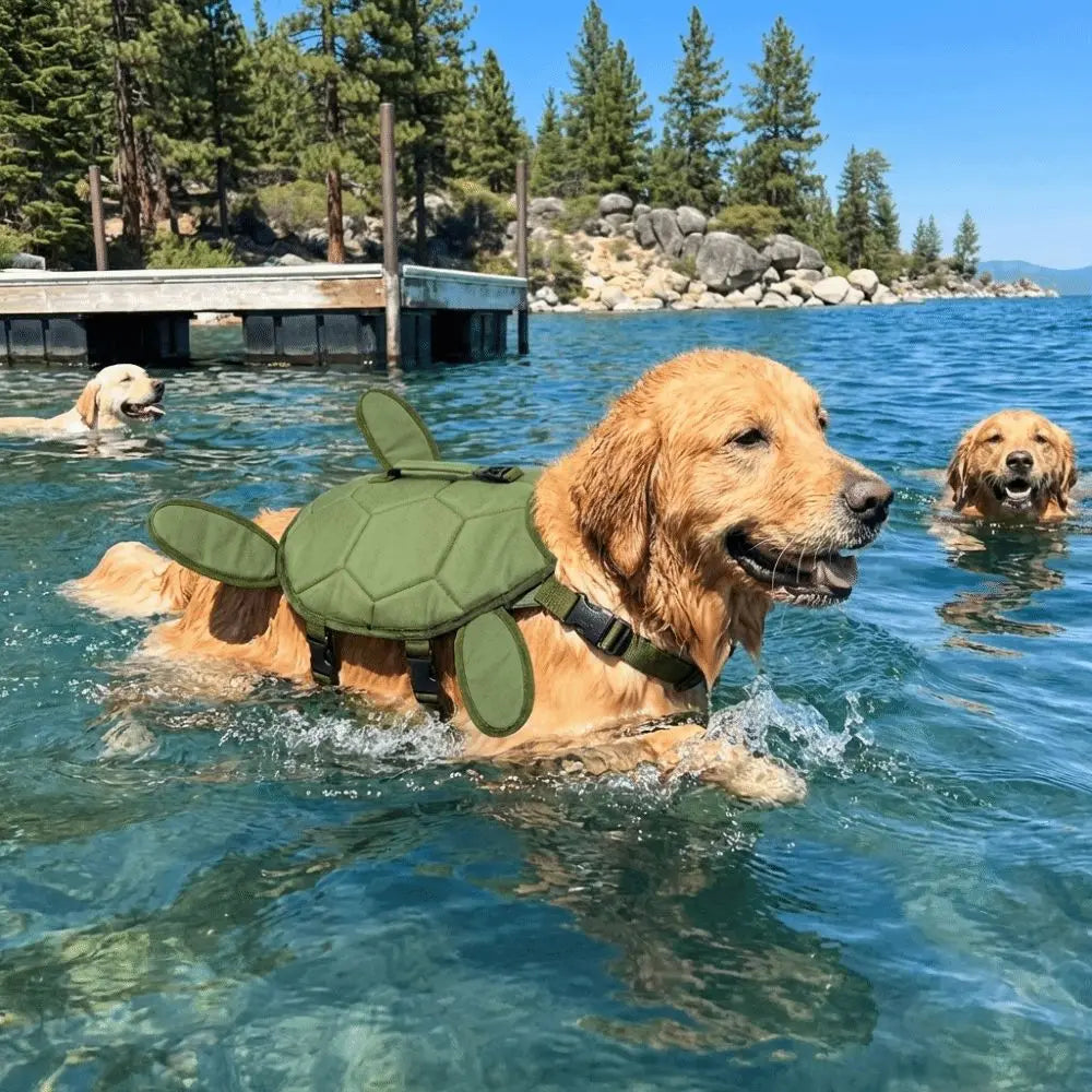 A golden retriever swimming in a lake wearing an olive green turtle-shaped life vest, with two other dogs and a docked shoreline in the background.