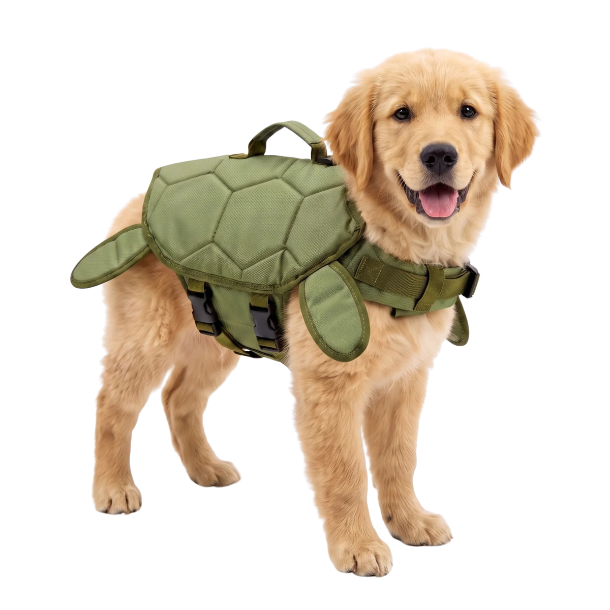 A golden retriever dog wearing an olive green turtle-shaped dog harness costume, shown against a plain white background.