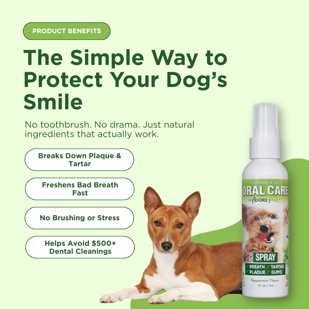 Dog with a bottle of oral care spray on a green background, featuring product benefits text.