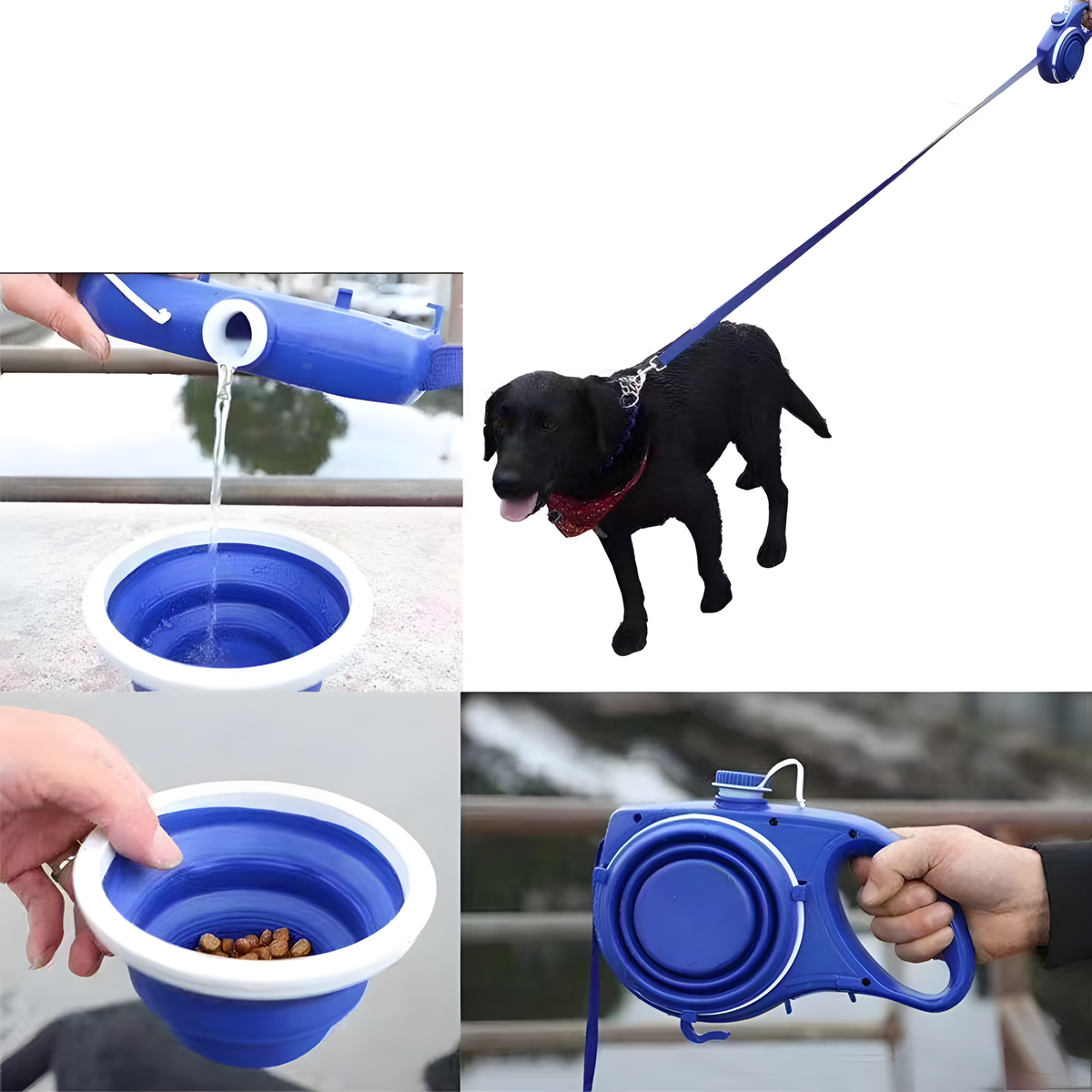 Collapsible blue pet water bowl and leash set with usage examples.