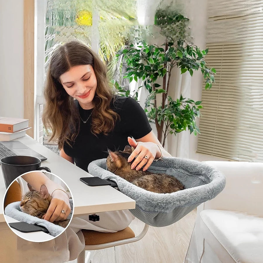 Woman with a cat in a pet seat at a desk, surrounded by plants.