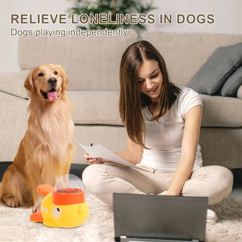 Woman sitting on a couch with a dog and a toy, with text about relieving loneliness in dogs.