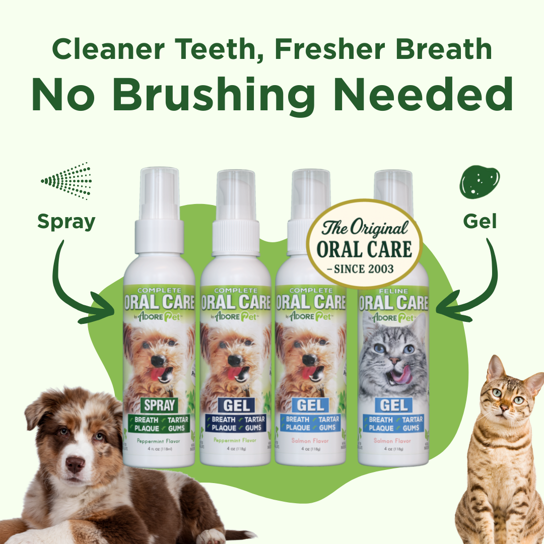 Dog and cat with oral care products and text 'Cleaner Teeth, Fresher Breath No Brushing Needed'.