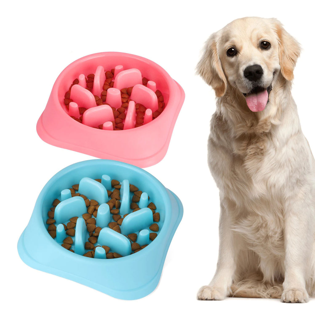 Pink and blue dog feeding bowls with food and a golden retriever sitting next to them.