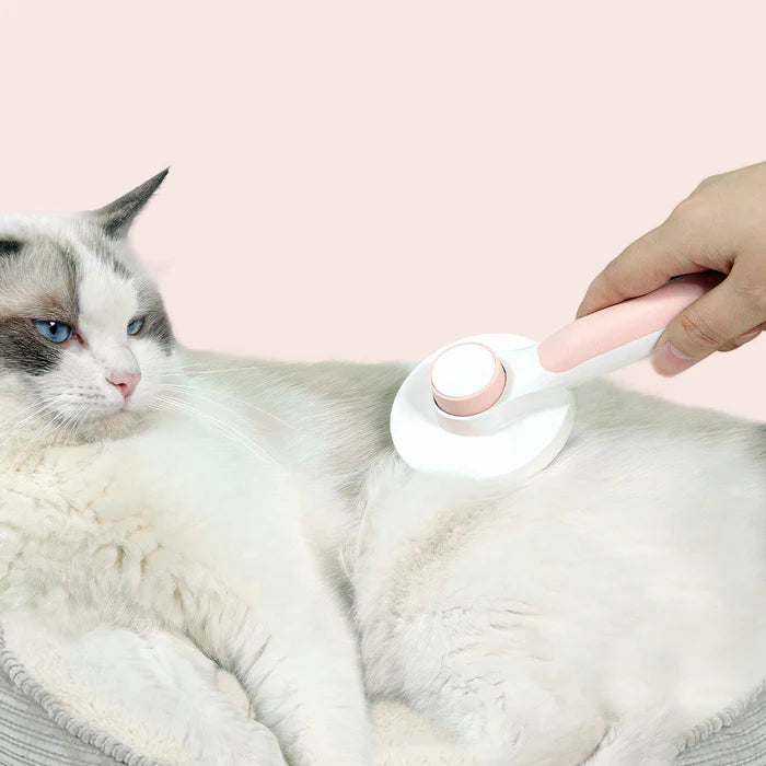 Person using a pet grooming tool on a cat with a pink background