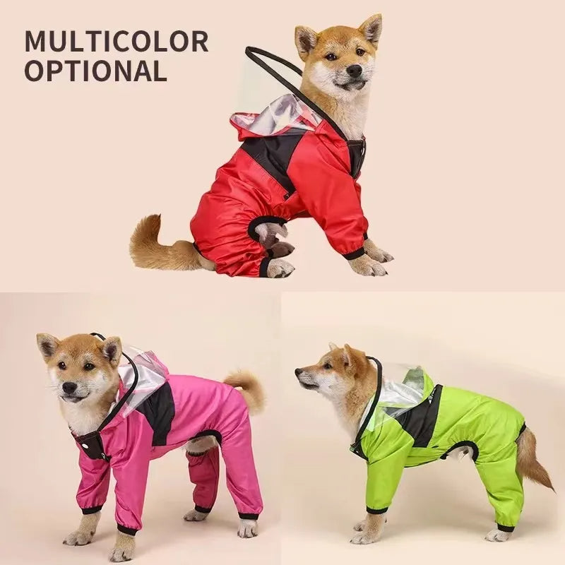 Three dogs wearing colorful raincoats on a beige background.