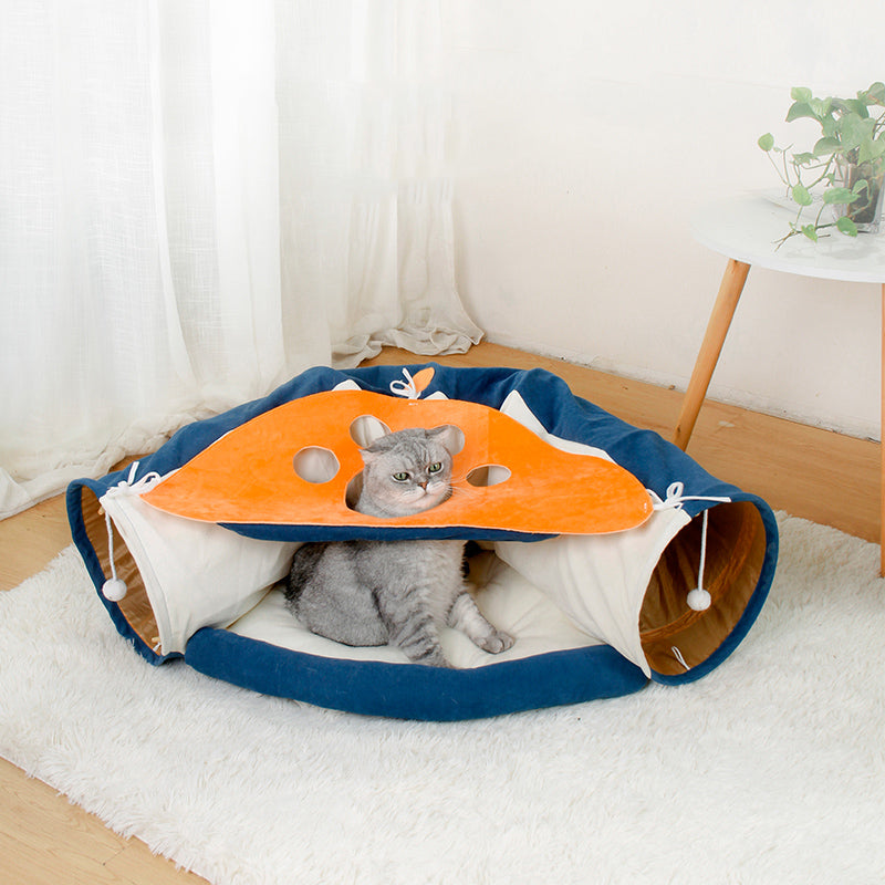 Cat playing with a blue and orange pet tunnel on a white rug.