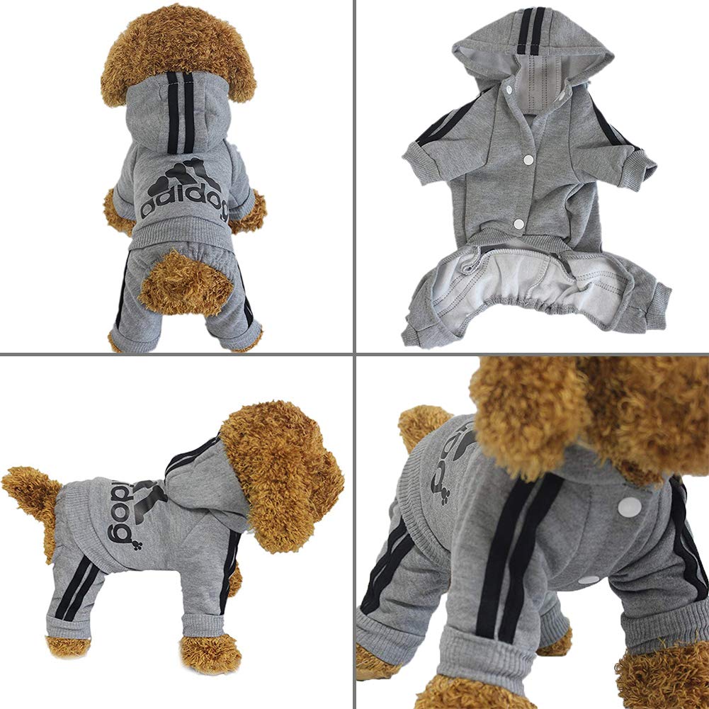 Dog wearing a gray hoodie with Adidas logo, shown from multiple angles on a white background.